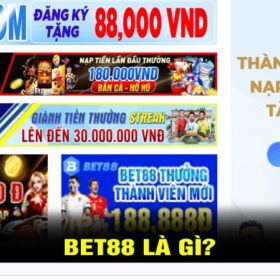 Tải App Bet88